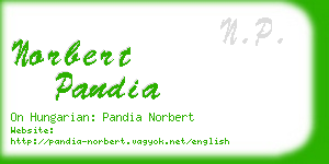 norbert pandia business card